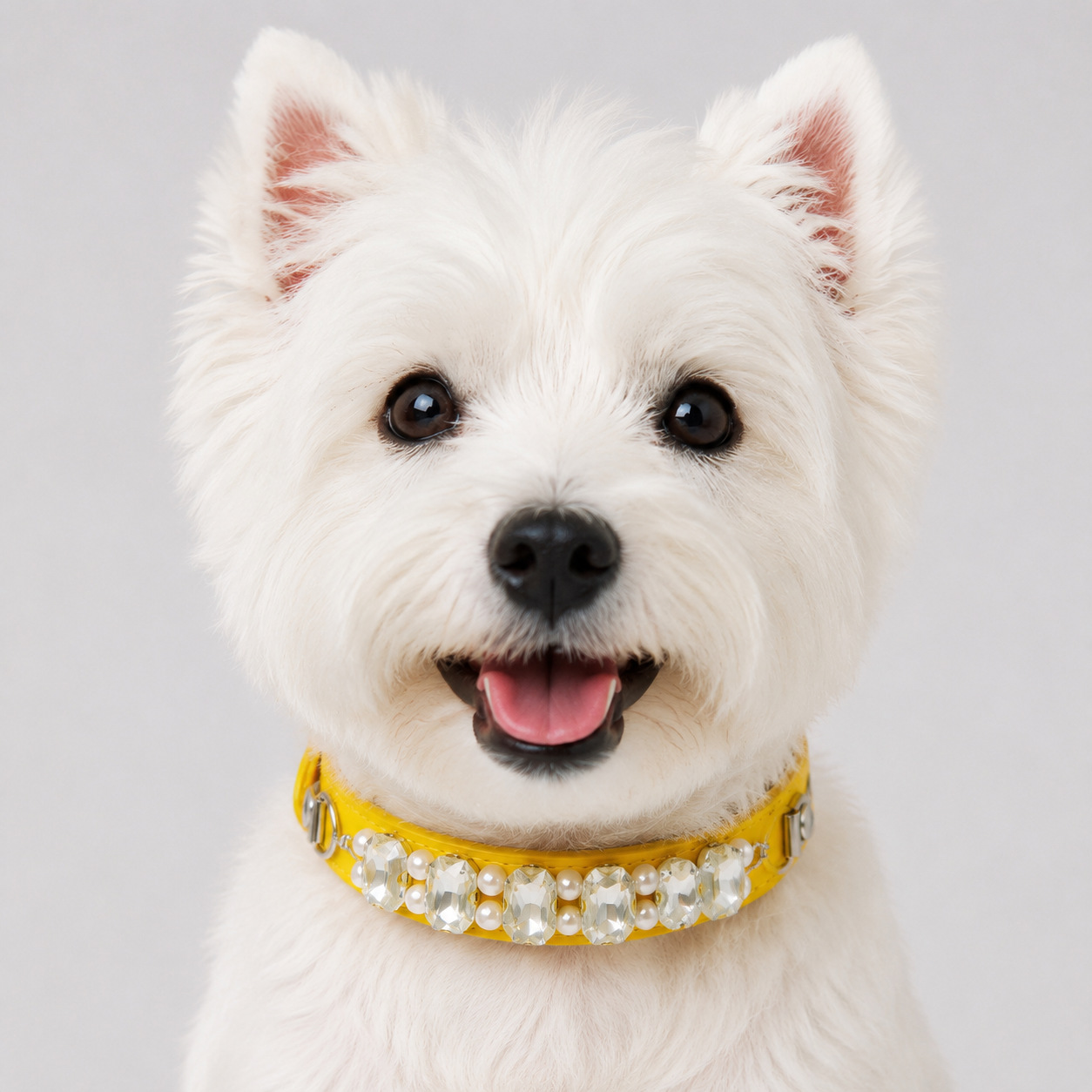 Pet Bell Collar
